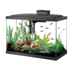 best cleaning services in lucknow